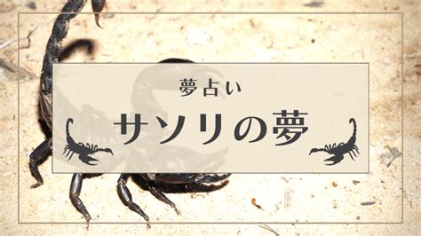 【夢占い】サソリの夢32選！赤い・白い・黒い・追い払う・襲わ。